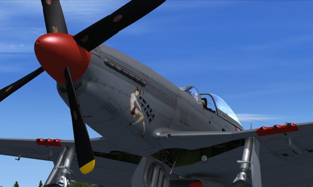P51DN210MSFront.jpg