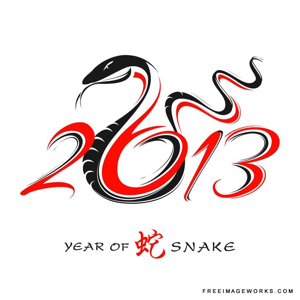 2013, Year Of The Snake