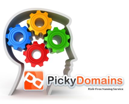 picky domain, Earning online
