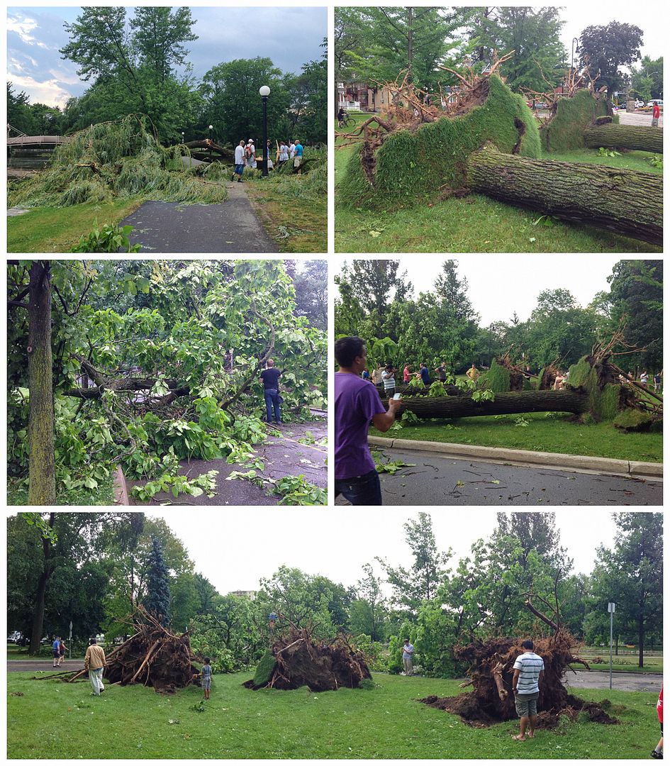 storm damage