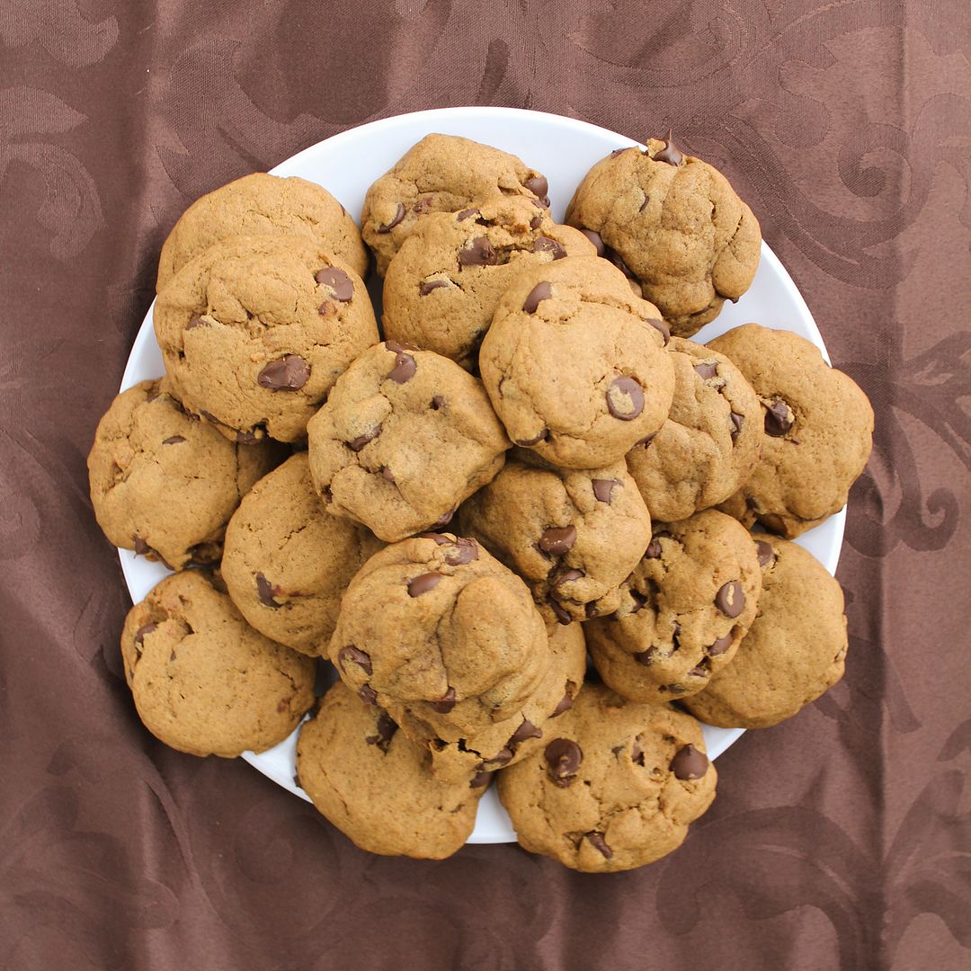 Gingerbread Chocolate Chip Cookies