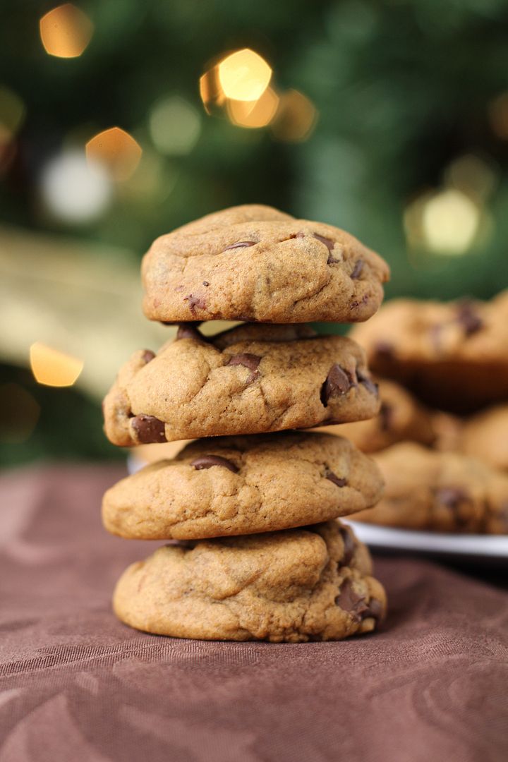 Gingerbread Chocolate Chip Cookies