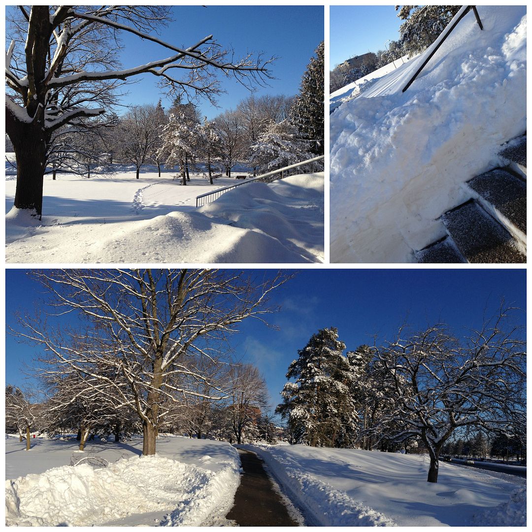 blue sky and snow