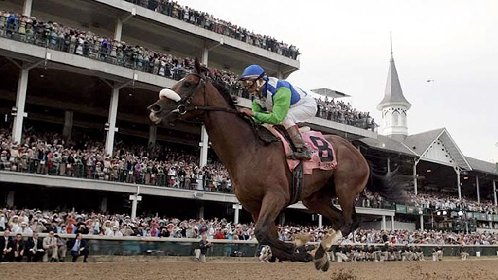 Barbaro (April 19, 2003 - January 29, 2007) photo barbaro.jpg