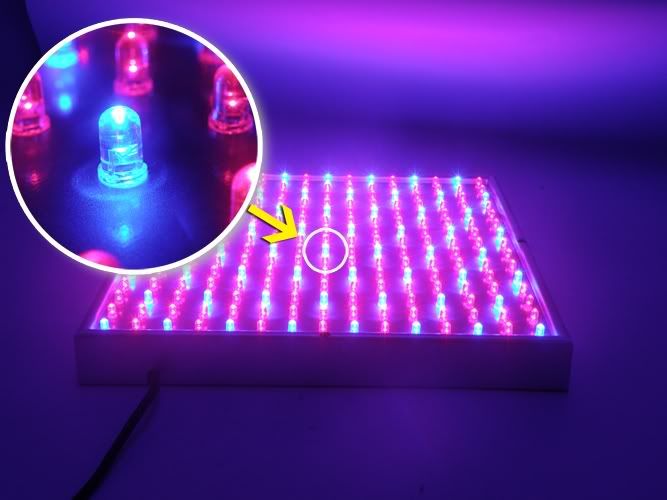 led grow lights