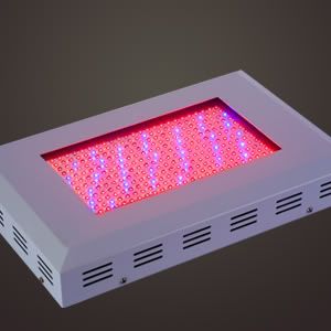 best indoor grow lights