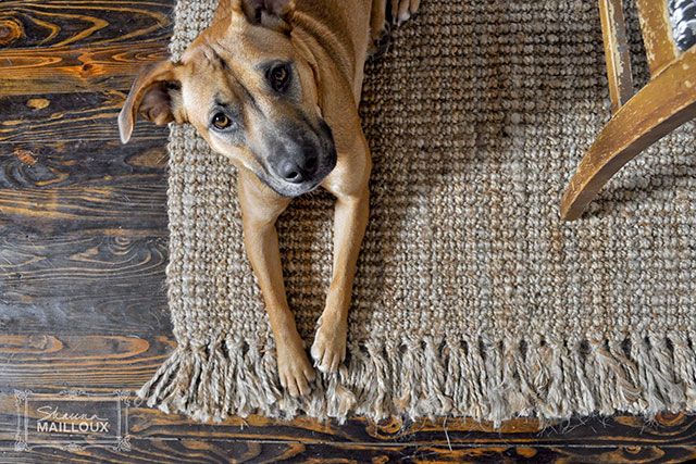 New Kitchen Pendant & Rugs