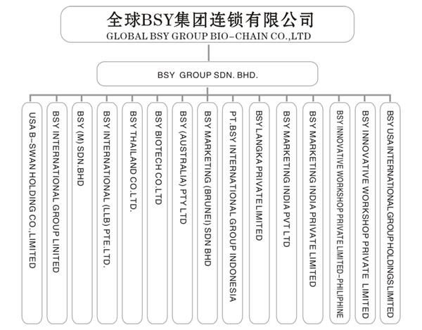 BSY Group