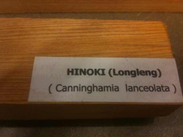 Hinoki(Longleng)
