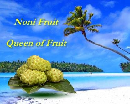 Noni