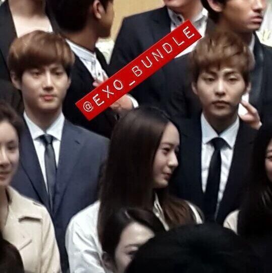  photo 20131012-111416_zpse980c199.jpg