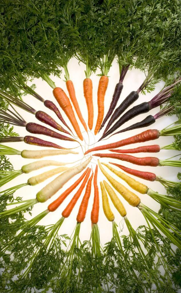  photo Carrots_of_many_colors_zpsd5f53a6b.jpg