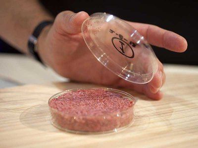  photo why-googles-sergey-brin-paid-330000-for-the-worlds-first-lab-grown-burger_zps56bf6432.jpg