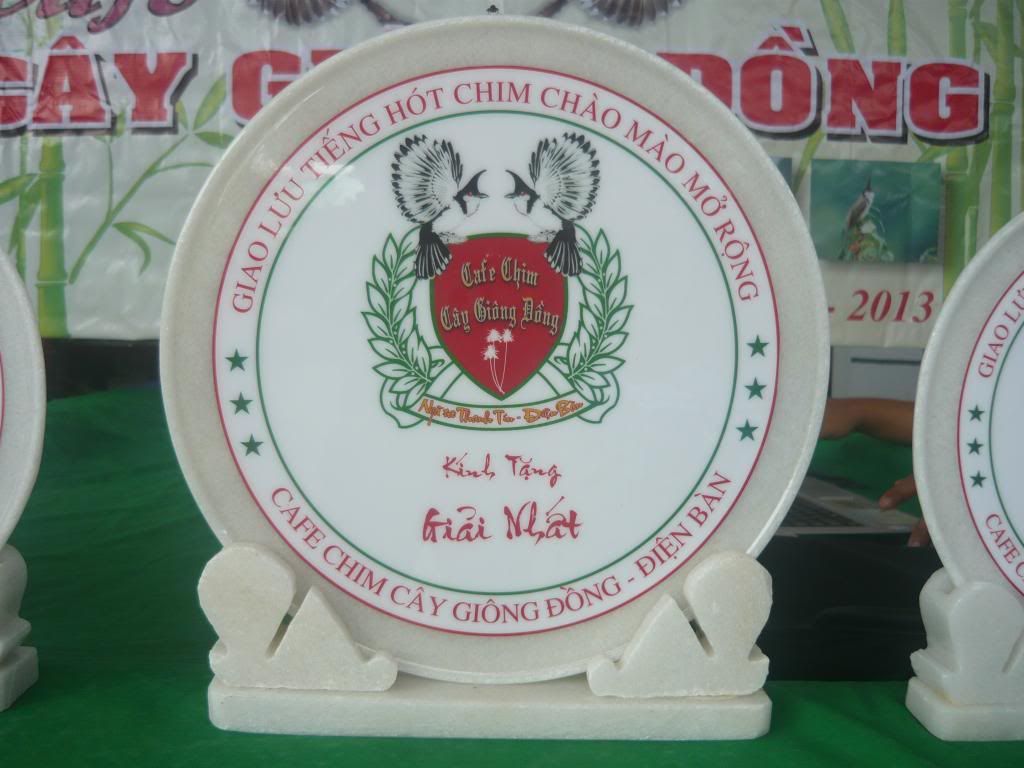 P1010970_zpsa870d4cc.jpg