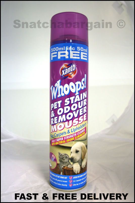 XANTO WHOOPS! PET STAIN & ODOUR CARPET REMOVER MOUSSE 500ML NEW eBay