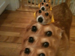 [Image: what_zps92a38594.png]