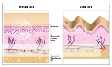 Marine Firming Gel Cream Matrixyl 3000 Hyaluronic Acid Collagen Oily